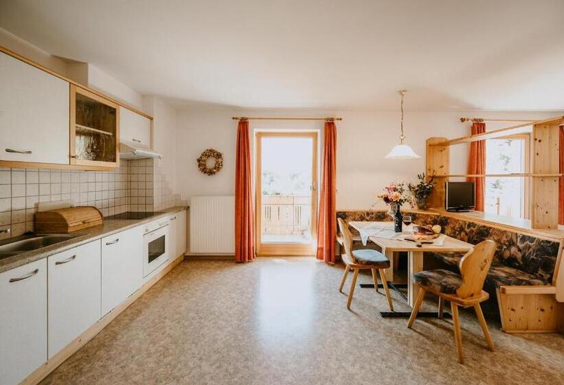 آپارتمان 1 خوابه, Peintnerhof Appartments & Zimmer