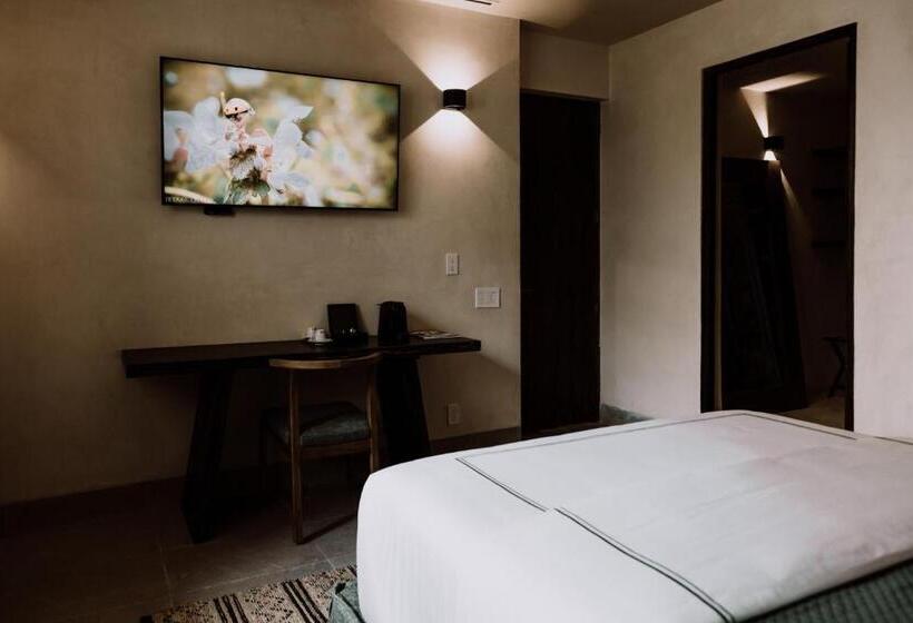 استودیوی استاندارد, Amatte San Miguel De Allende