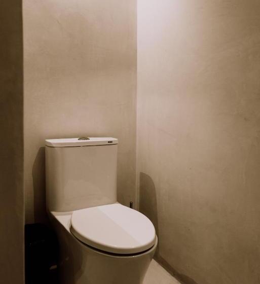 استودیوی استاندارد, Amatte San Miguel De Allende