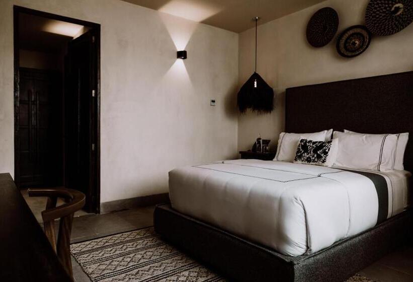 استودیوی استاندارد, Amatte San Miguel De Allende