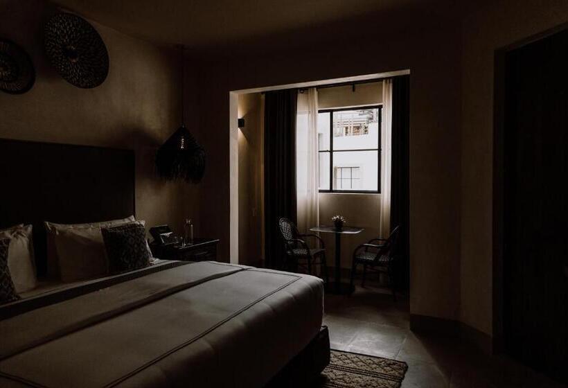 استودیوی استاندارد, Amatte San Miguel De Allende