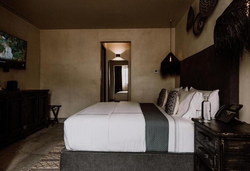استودیوی استاندارد, Amatte San Miguel De Allende
