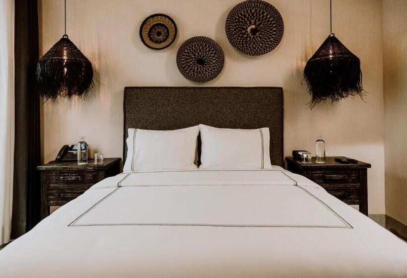 سوییت جونیور, Amatte San Miguel De Allende