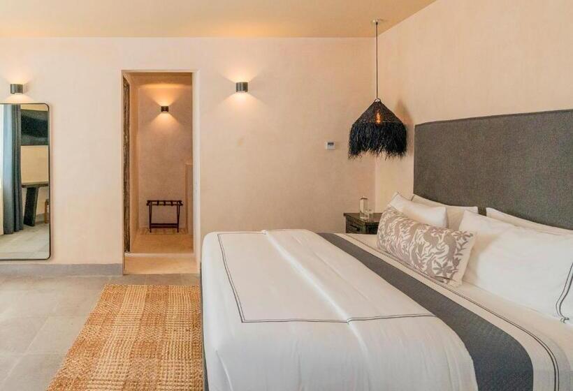 سوییت جونیور, Amatte San Miguel De Allende