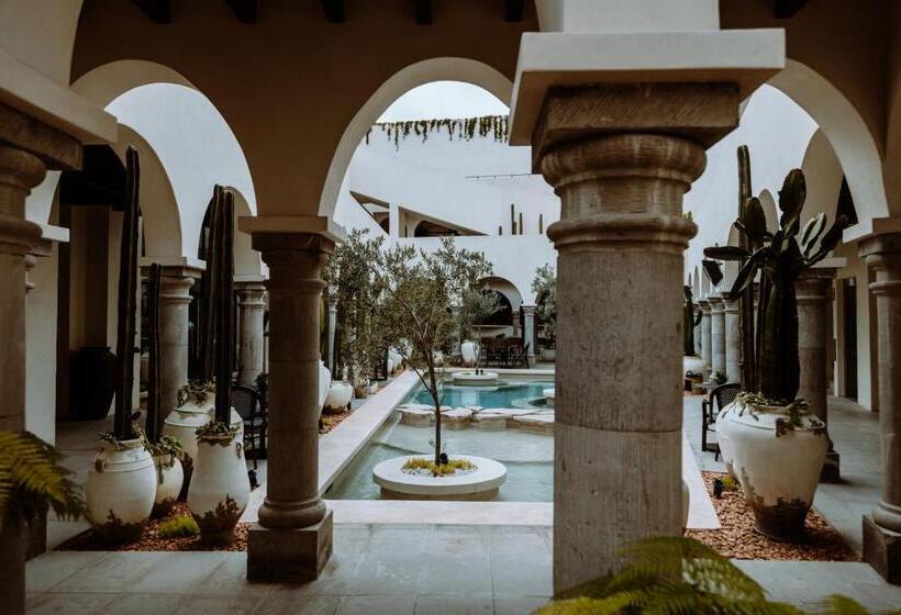 سوییت لوکس, Amatte San Miguel De Allende