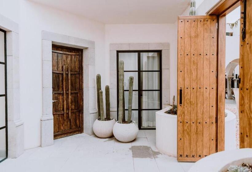 ویلای 2 خوابه, Amatte San Miguel De Allende