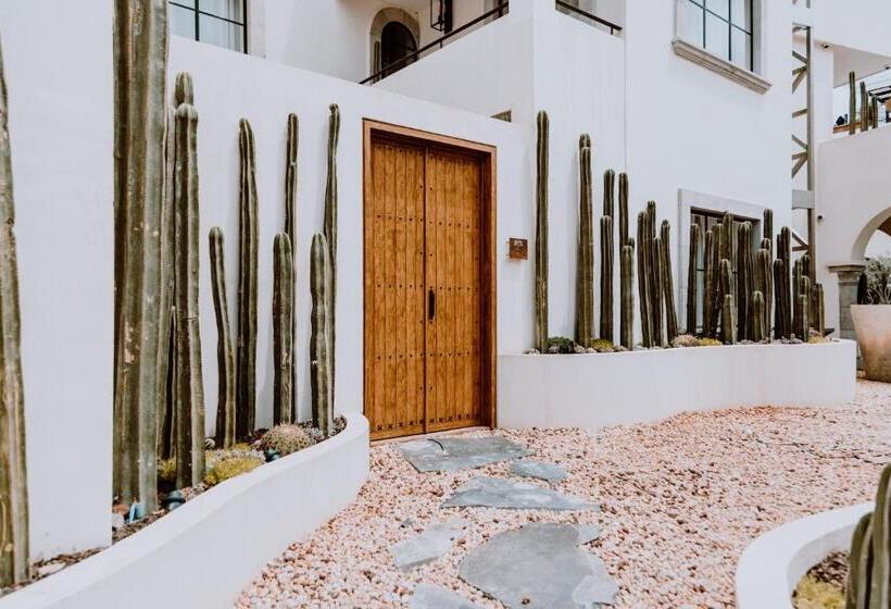 ویلای 2 خوابه, Amatte San Miguel De Allende