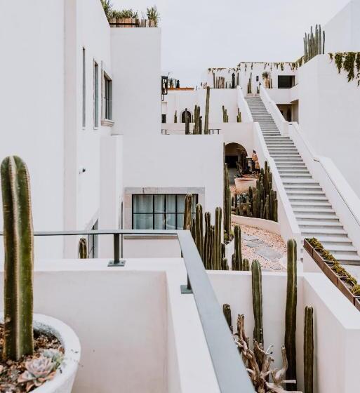 ویلای 1 خوابه, Amatte San Miguel De Allende