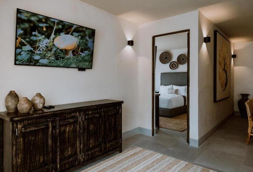 ویلای 1 خوابه, Amatte San Miguel De Allende