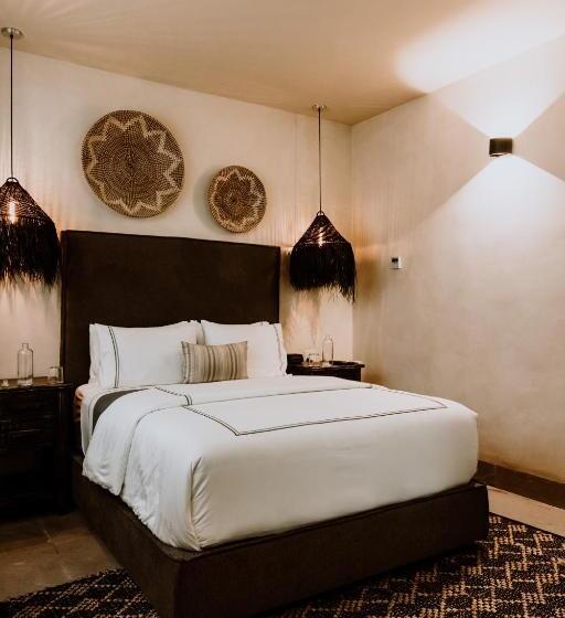 سوییت جونیور لوکس, Amatte San Miguel De Allende