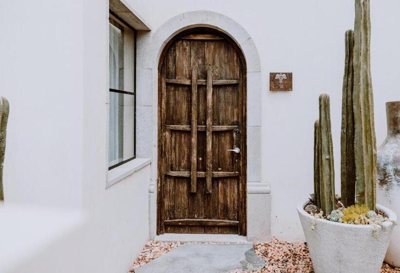 ویلای 1 خوابه, Amatte San Miguel De Allende