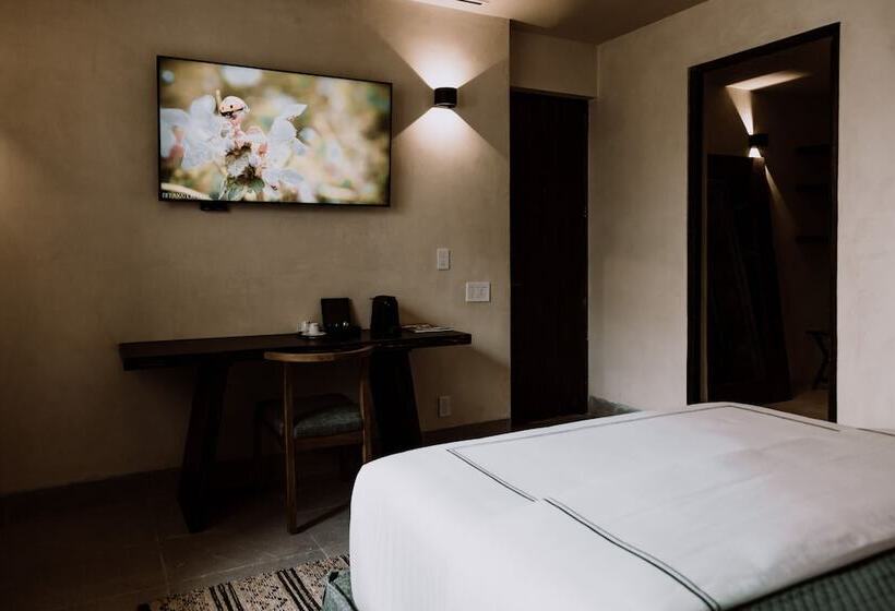 استودیوی استاندارد, Amatte San Miguel De Allende