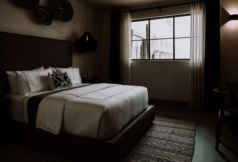 استودیوی استاندارد, Amatte San Miguel De Allende