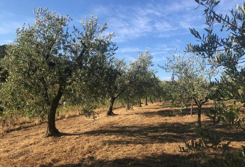 スタンダードトリプルルーム, Il Podere La Casina