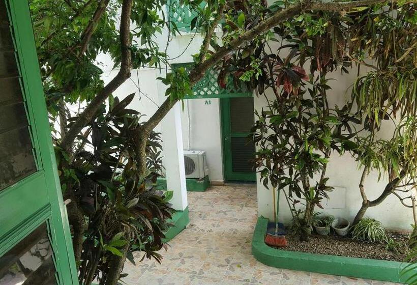 استودیوی استاندارد, Terraza Del Caribe