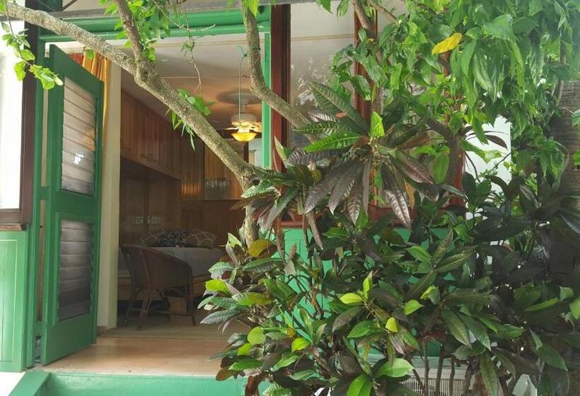 استودیوی استاندارد, Terraza Del Caribe