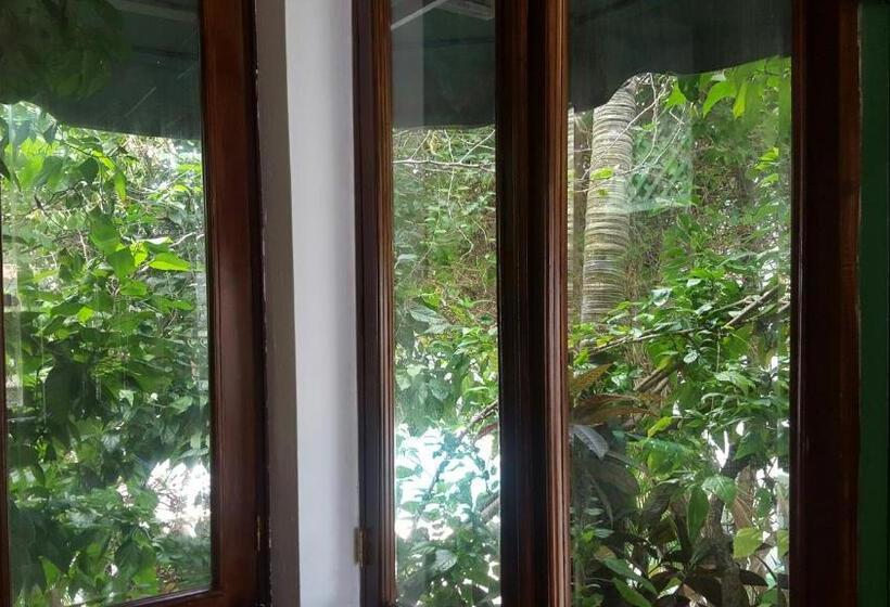 استودیوی استاندارد, Terraza Del Caribe