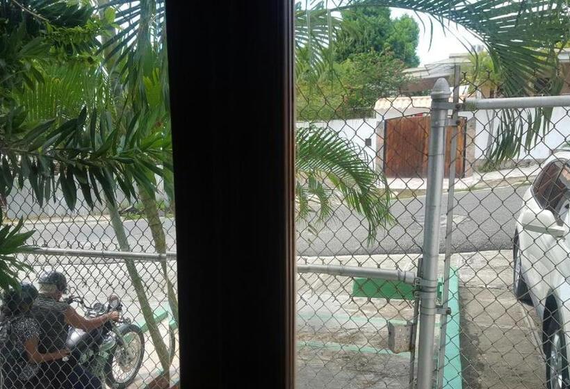 استودیوی استاندارد, Terraza Del Caribe