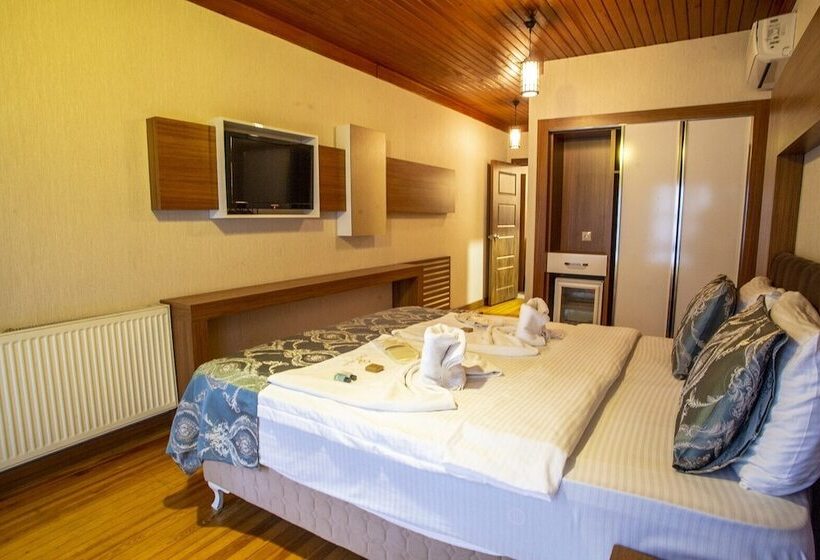 اتاق استاندارد یک نفره, Bursa Palas