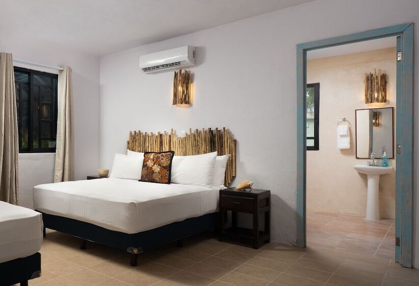 Quarto Estandar, Alito Tulum
