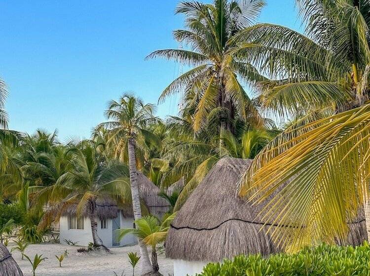 Quarto Estandar, Alito Tulum