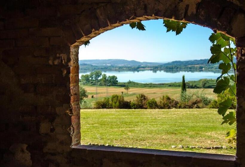 标准工作室, Agriturismo Poggio Antico