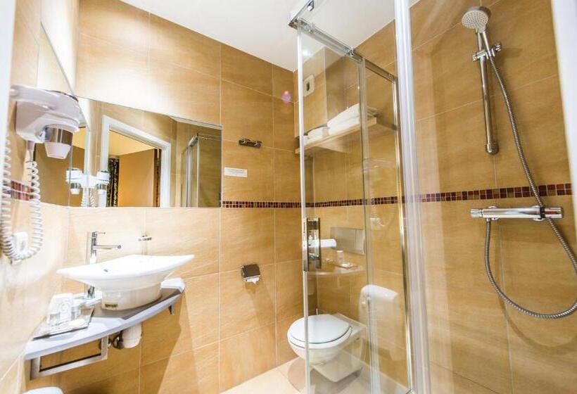 Номер Superior, Hôtel Au Lion