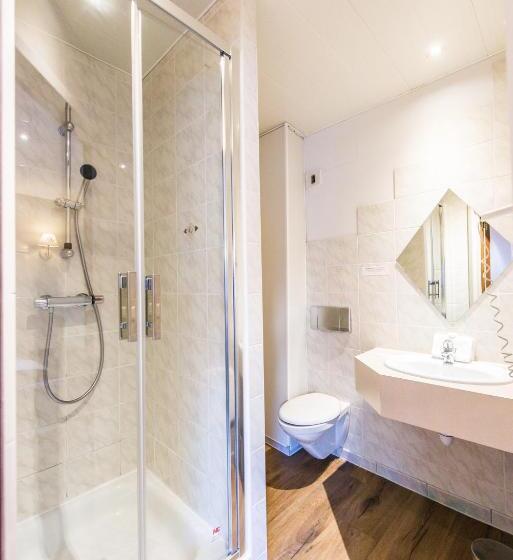 Номер Стандарт, Hôtel Au Lion