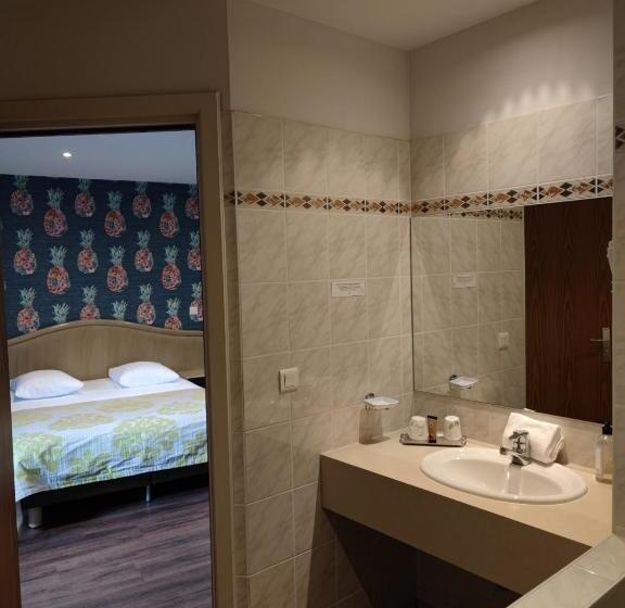Люкс Дюплекс, Hôtel Au Lion