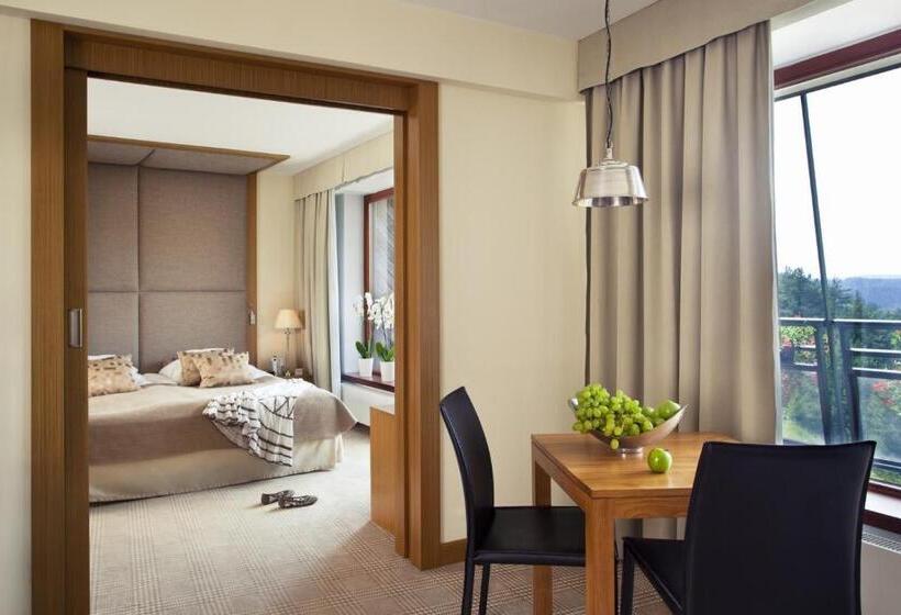 Апартаменты 1 Спальня, Spa Dr Irena Eris Krynica Zdrój