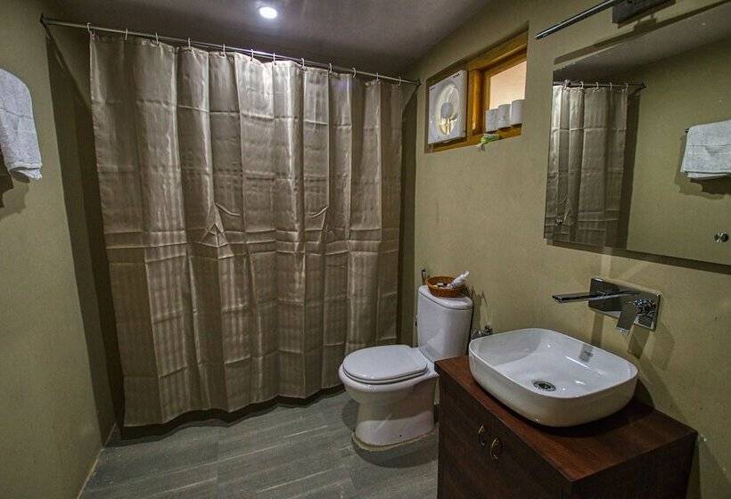 Шале Deluxe 1 Спальня, Chalet Seabuckthorn