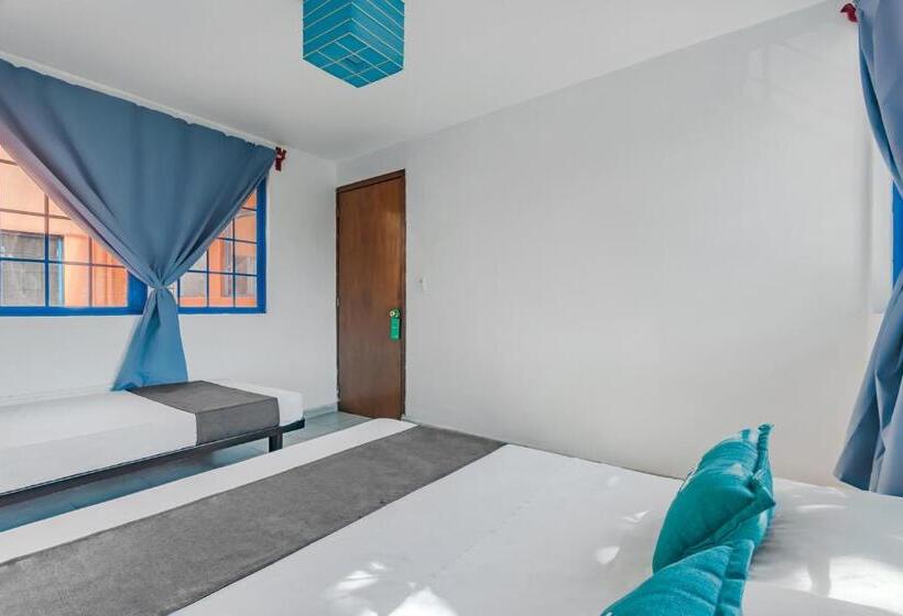 Economy Triple Room, Oasis Airport