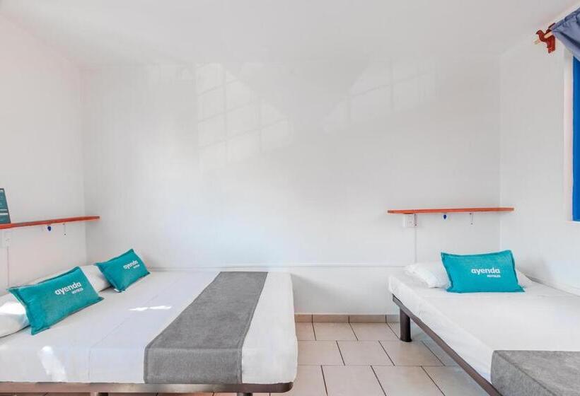 Economy Triple Room, Oasis Airport