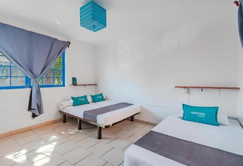 Economy Triple Room, Oasis Airport
