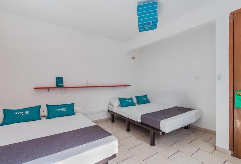 Economy Quadruple Room, Oasis Airport