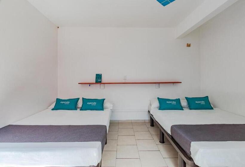 Economy Quadruple Room, Oasis Airport