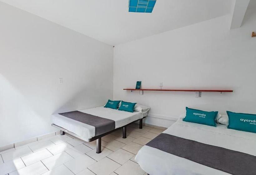 Economy Quadruple Room, Oasis Airport