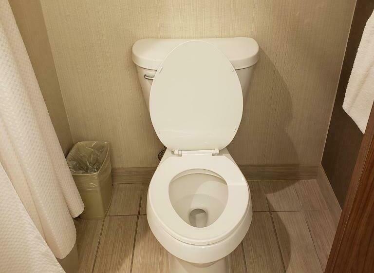 Стандартный Номер Кровать Кинг, Courtyard By Marriott Battle Creek