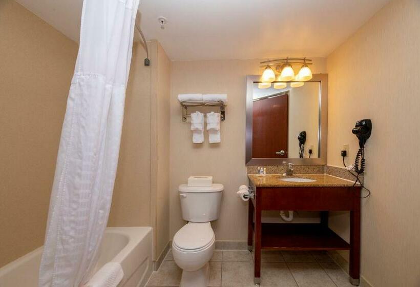 Стандартный Номер Кровать Кинг, Comfort Inn Near Quantico Main Gate North