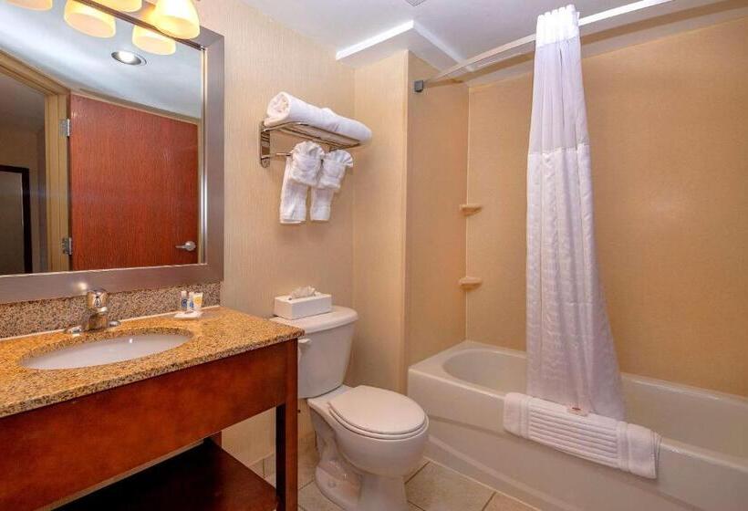 Люкс Кровать Кинг, Comfort Inn Near Quantico Main Gate North