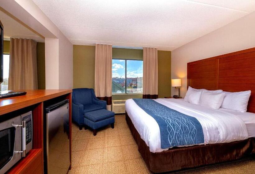Quarto Estandar Cama King para Deficientes Físicos, Comfort Inn Near Quantico Main Gate North