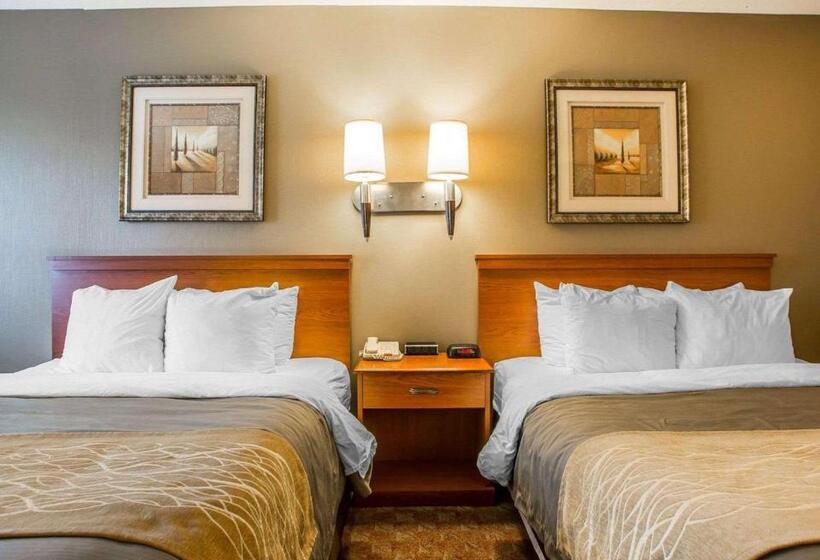 Номер Стандарт, Comfort Inn