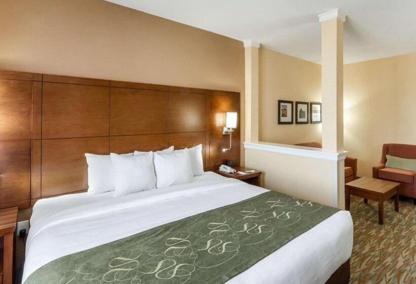 מיטת קינג בסוויטה, Comfort Suites Cotulla Near I35