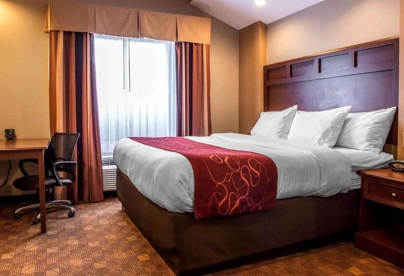 Люкс Кровать Кинг, Comfort Suites
