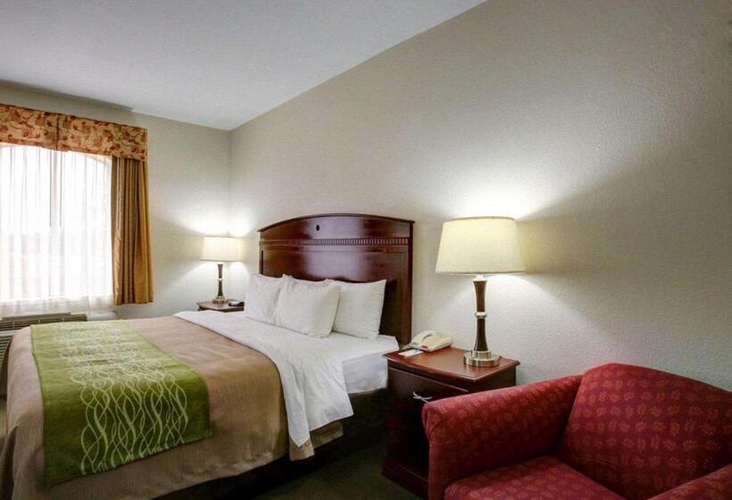 Стандартный Номер Кровать Кинг, Quality Inn