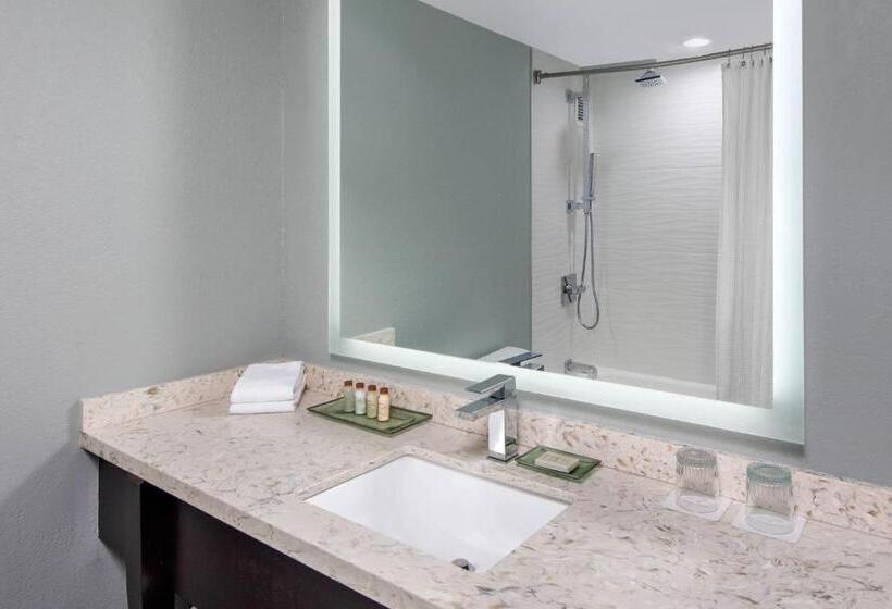 Номер Стандарт, Renaissance Indianapolis North