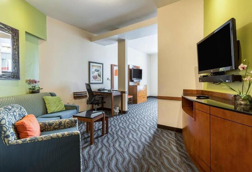 Номер Стандарт, Fairfield Inn & Suites By Marriott Alamogordo