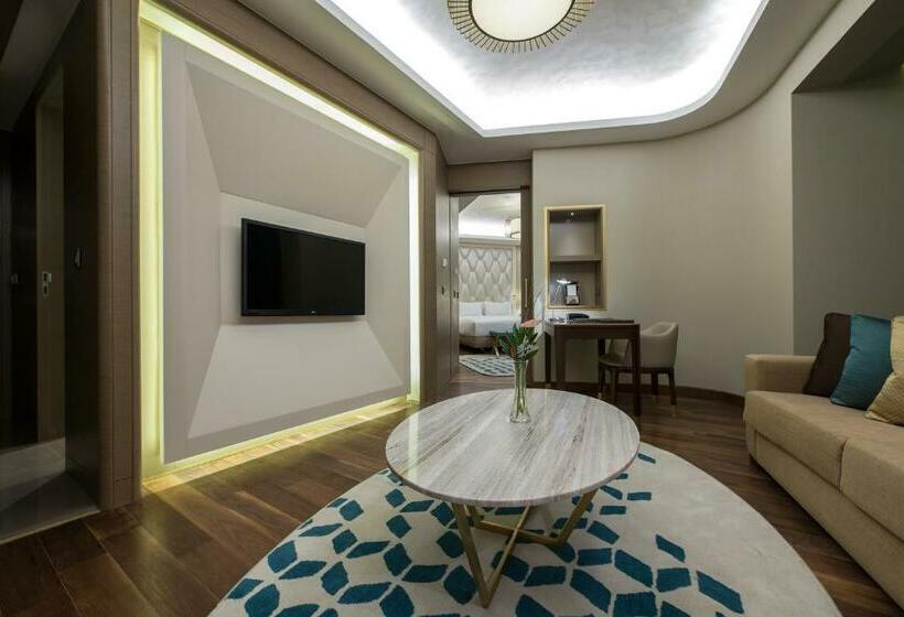سوئیت اجرایی با تخت کینگ, Hilton Istanbul Kozyatagi