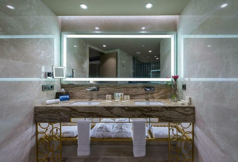 سوئیت اجرایی با تخت کینگ, Hilton Istanbul Kozyatagi