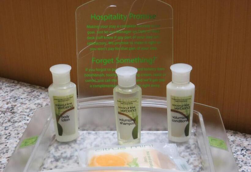 Люкс Адаптированный для Инвалидов, Holiday Inn Express & Suites Willmar, An Ihg